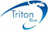logo_Triton_blue_nuevo